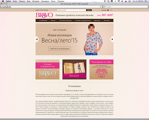 Создание сайта компании Bravo