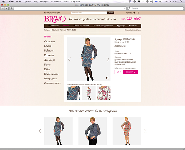 Создание сайта компании Bravo 2