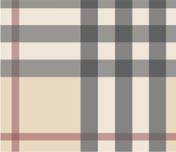  Burberry   -  