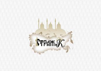 Брендбук Страж и К