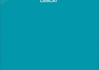 Разработка брендбука ColoCAT