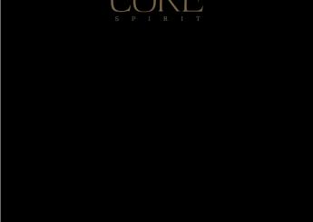 Брендбук Core Spirit