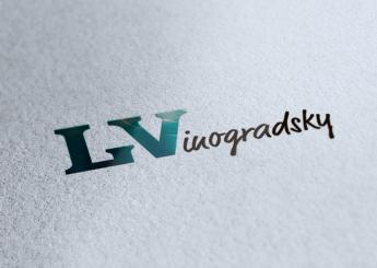 Создание логотипа LVinogradsky