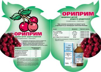 Дизайн рекламного буклета Ориприм